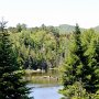 <p align=left>rivière du côté de Lake Placid